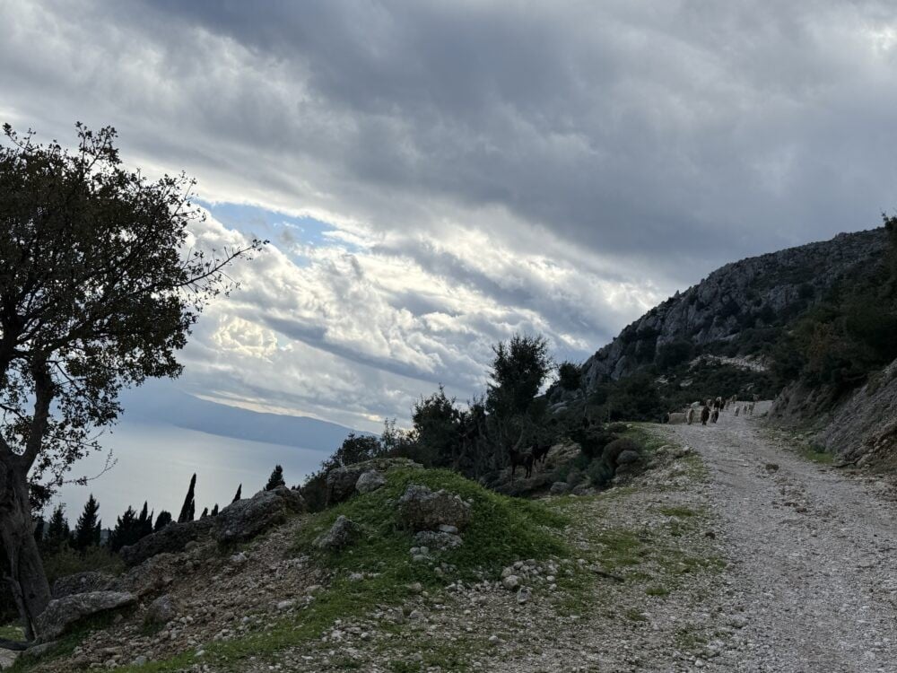 efl01kefalonia-ainos-premium-4x4-van-experience-scenic-peaks-forest-trails-1-logo