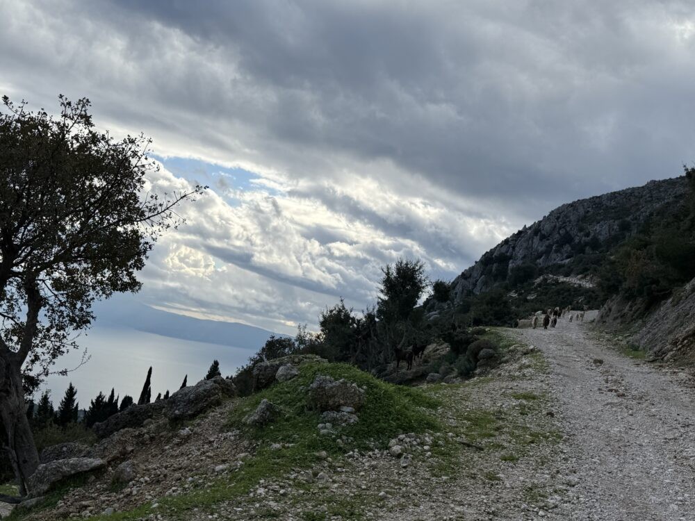 efl01kefalonia-ainos-premium-4x4-van-experience-scenic-peaks-forest-trails-1-logo