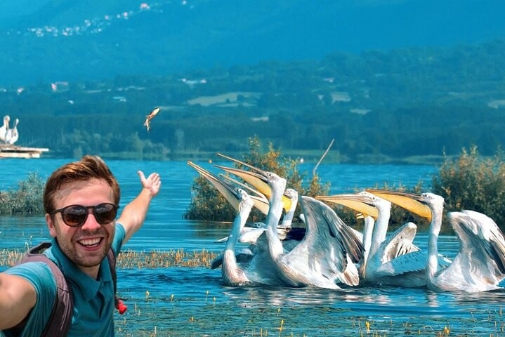 from-thessaloniki-day-trip-to-kerkini-lake-logo
