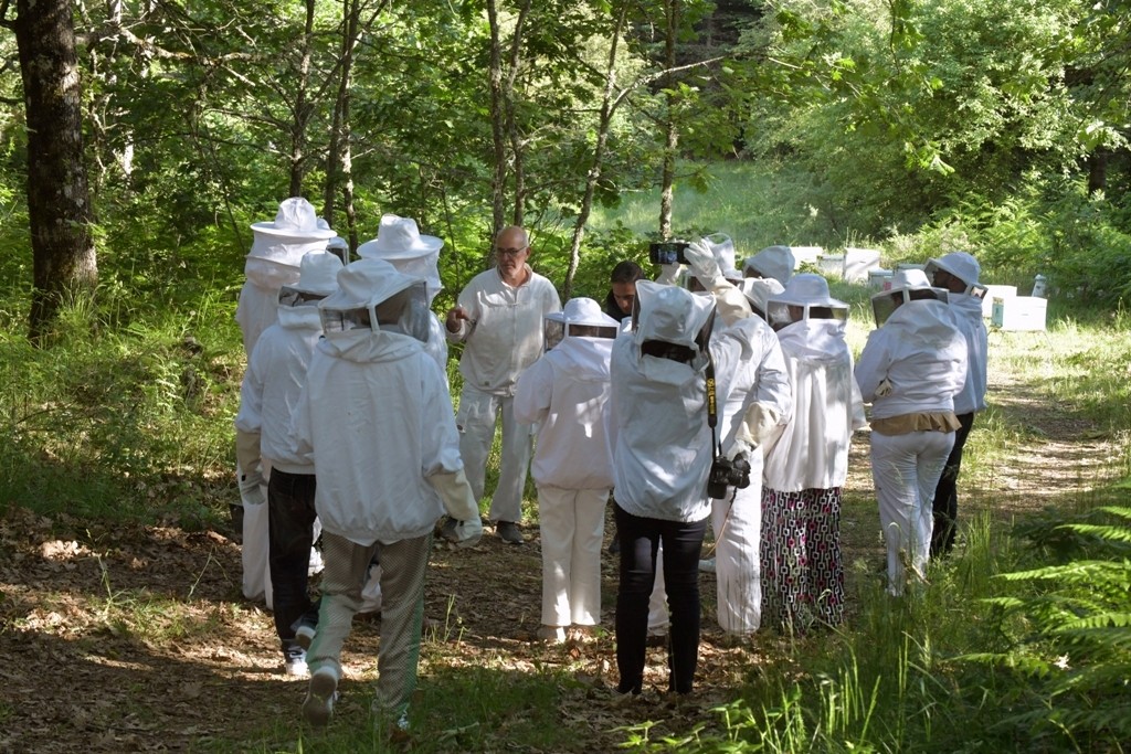 from-thessaloniki-gastronomic-trip-to-halkidiki-logo