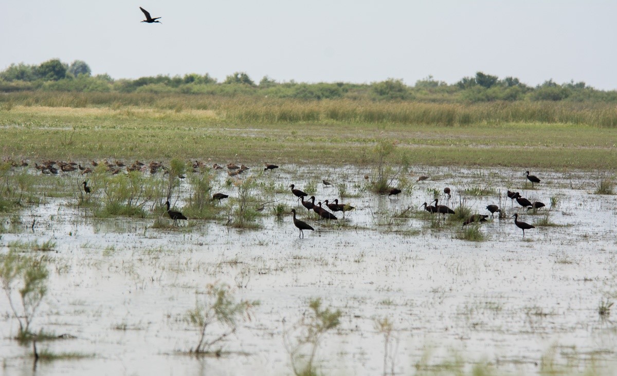 from-thessaloniki-private-day-trip-to-evros-delta-logo