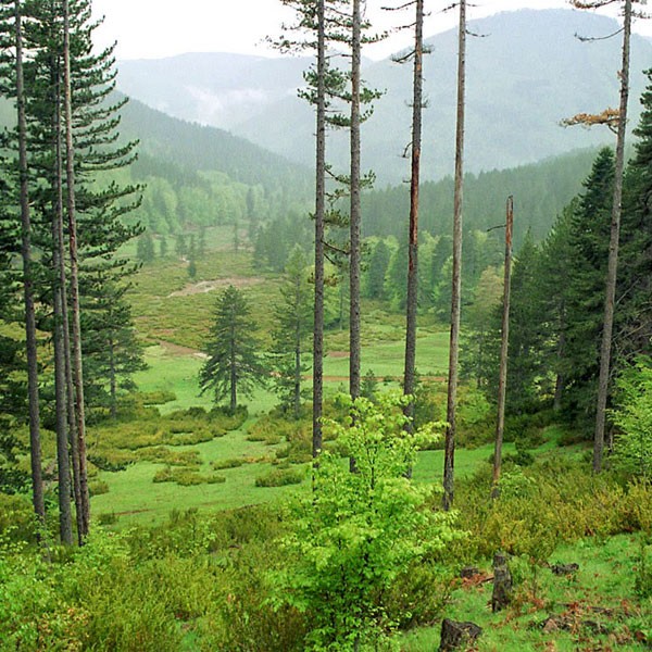 from-thessaloniki-private-day-trip-to-grevena-and-valia-calda-logo