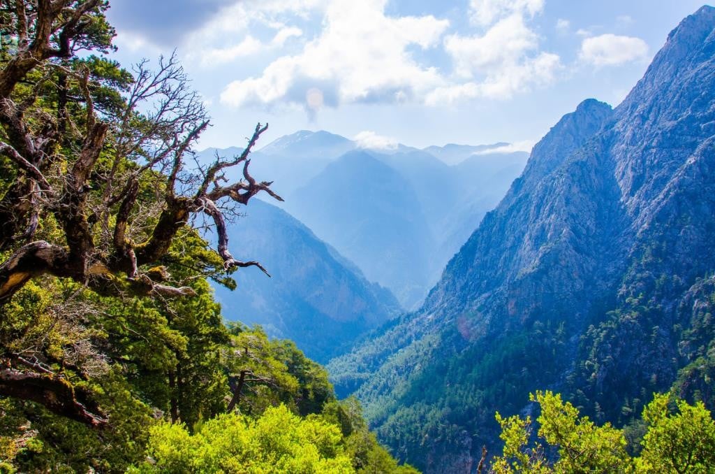 hike-the-second-most-famous-gorge-in-chania-with-our-local-mountain-guide-explore-nature-and-learn-about-the-cretan-flora-fauna-1-2-logo