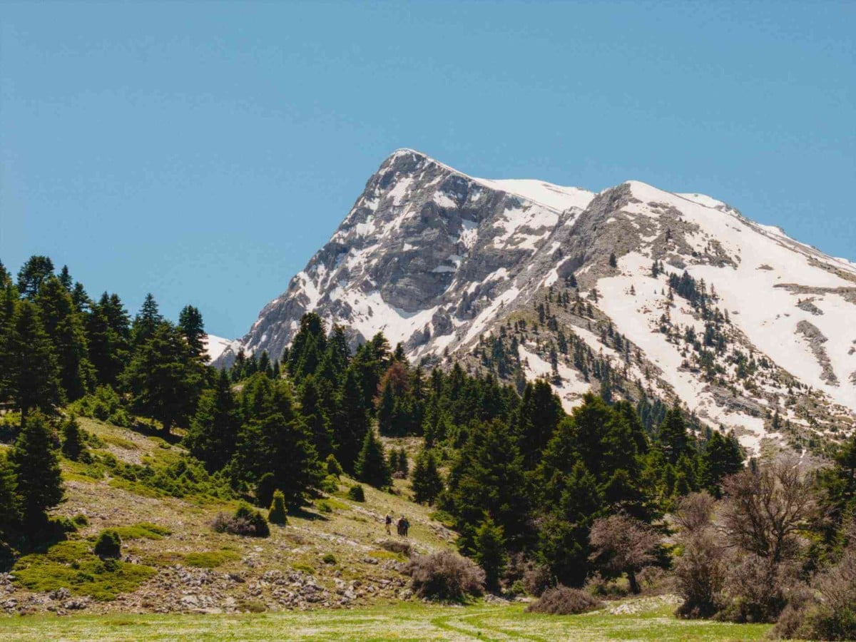 kalavryta-hike-to-the-summit-of-mt-chelmos-logo
