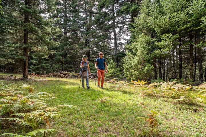 mt-parnassos-national-park-hike-mt-parnassos-national-park-hike-logo