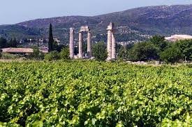 nemea-wine-experience-and-nafplion-private-tour-from-athens-logo