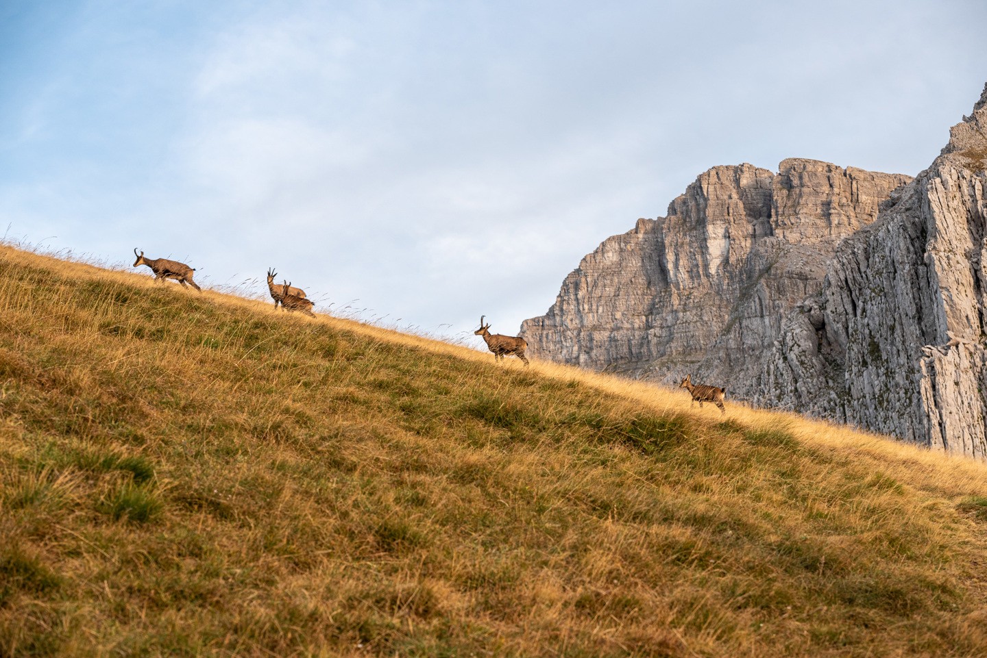 8-Day North Greece Hike