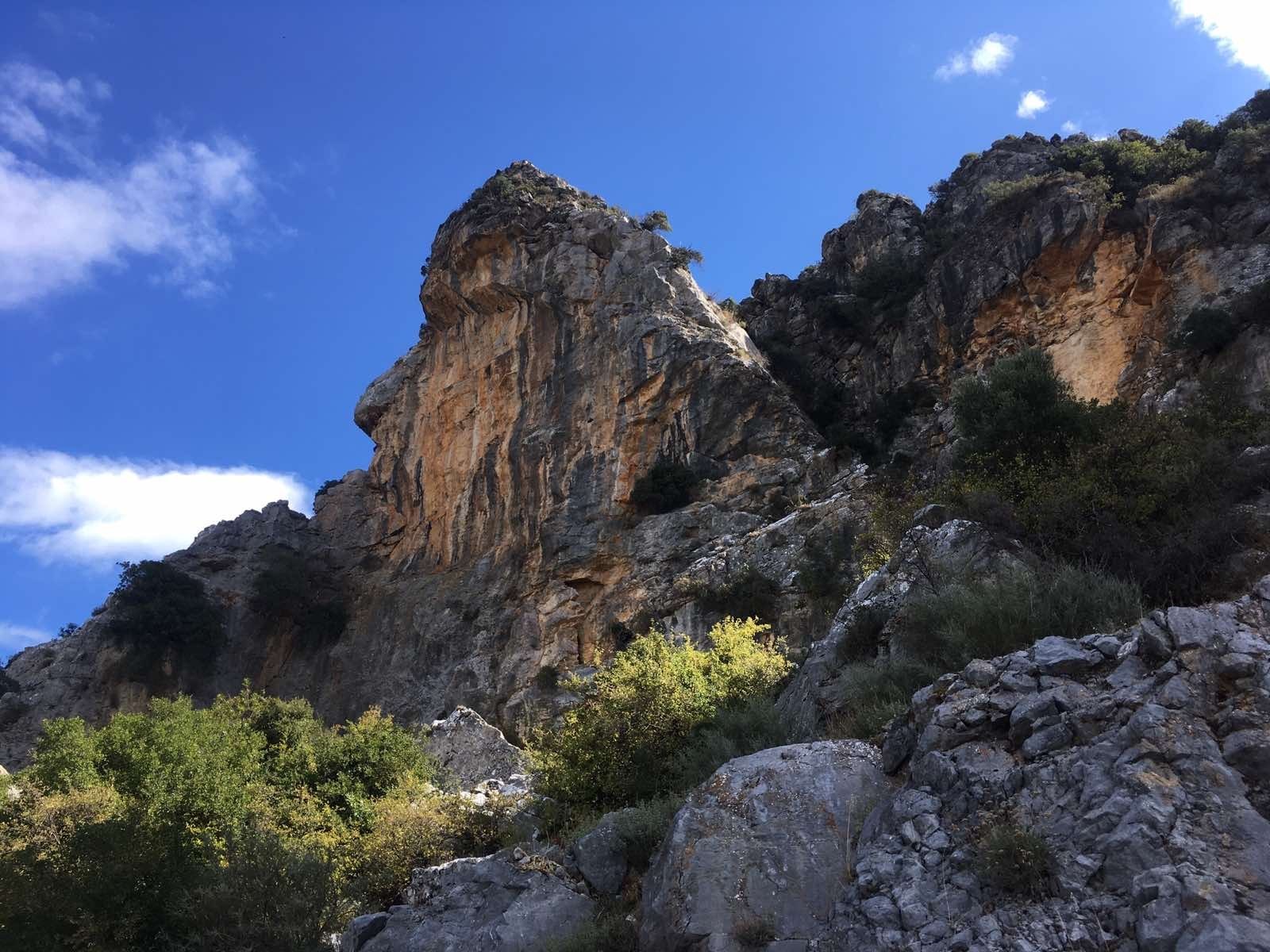 Rethymnon Tour 2. Explore the Secrets of Wine and Olives