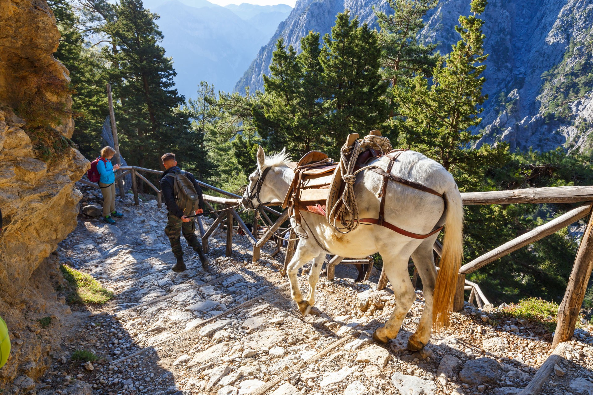 Samaria Gorge Full Day Tour from Chania