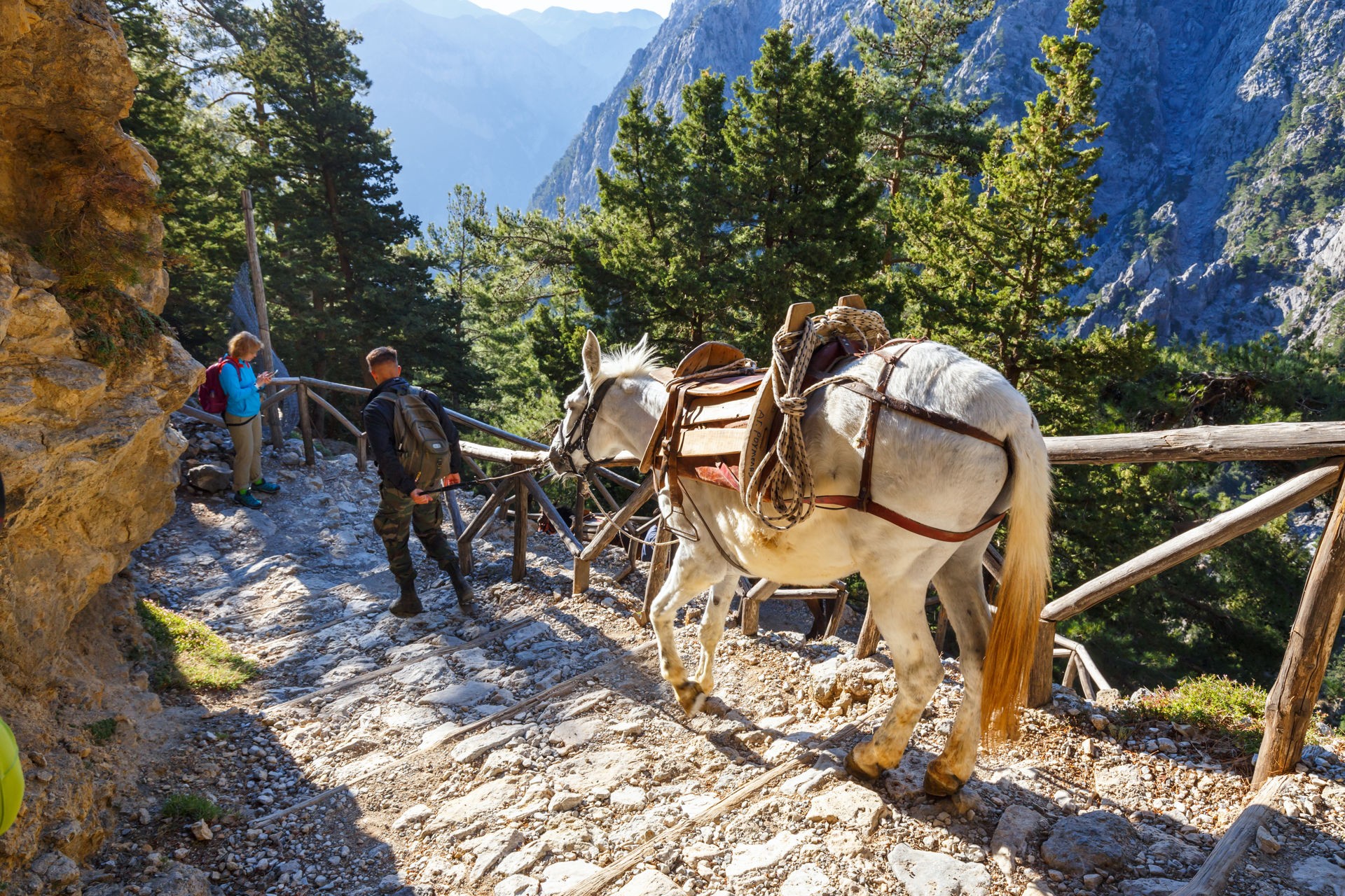 Samaria Gorge Full Day Tour from Chania