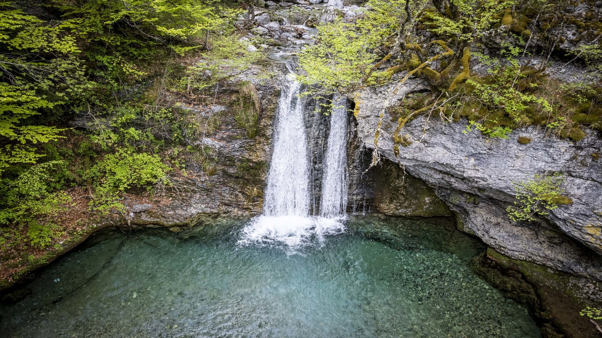 thessaloniki-food-tour-eating-like-a-greek-logo