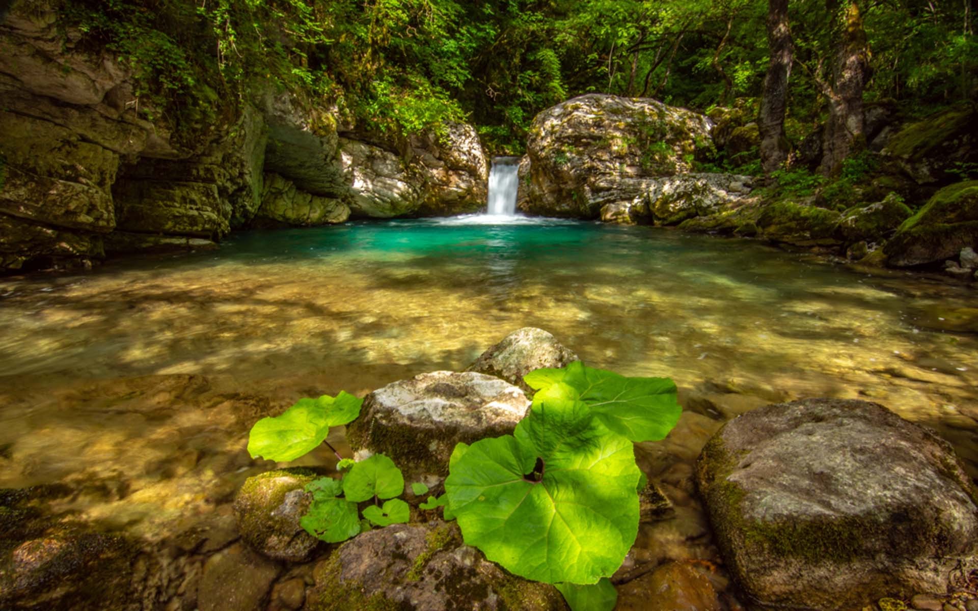 tzoumerka-sightseeing-tour-logo