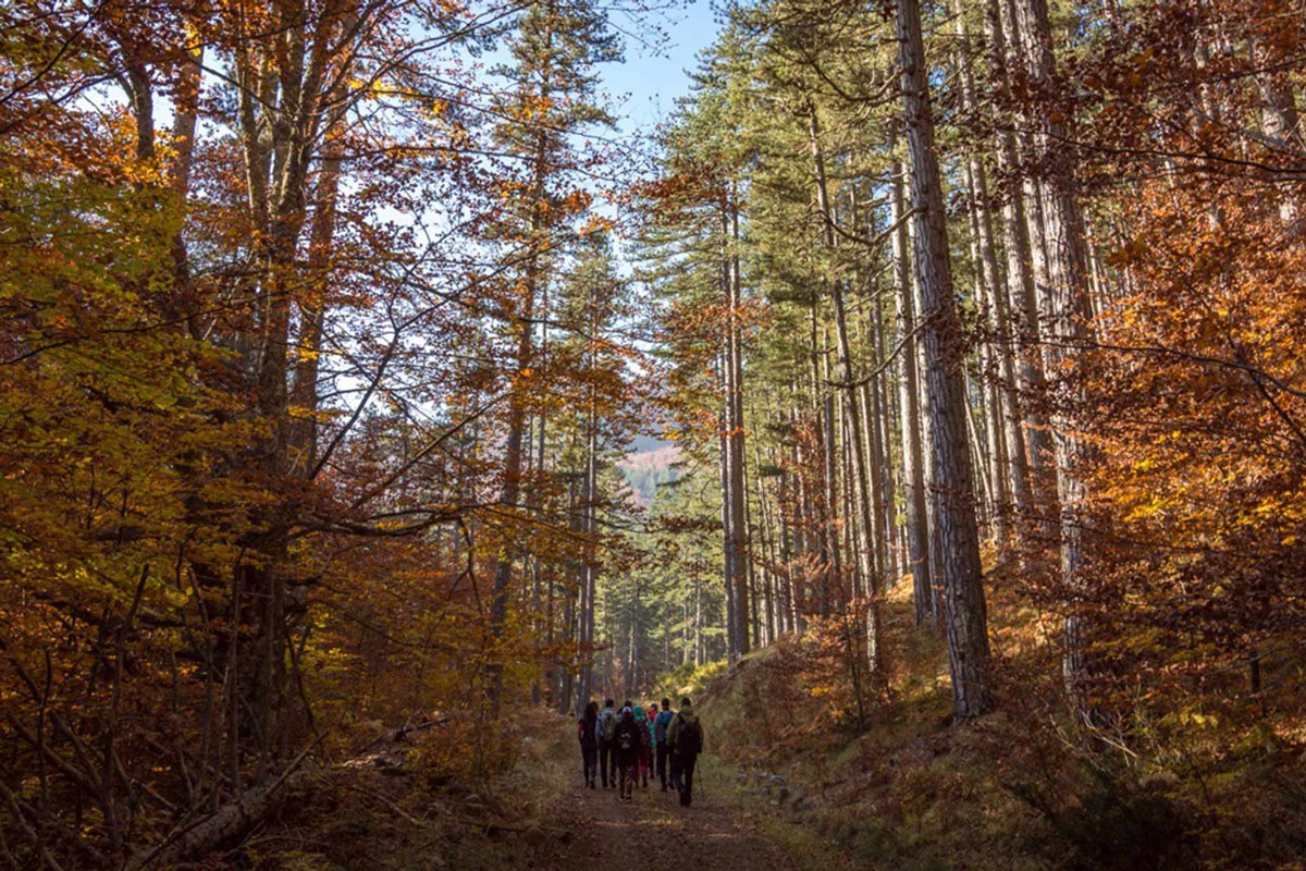 valia-calda-adventure-off-road-cooking-experience-logo