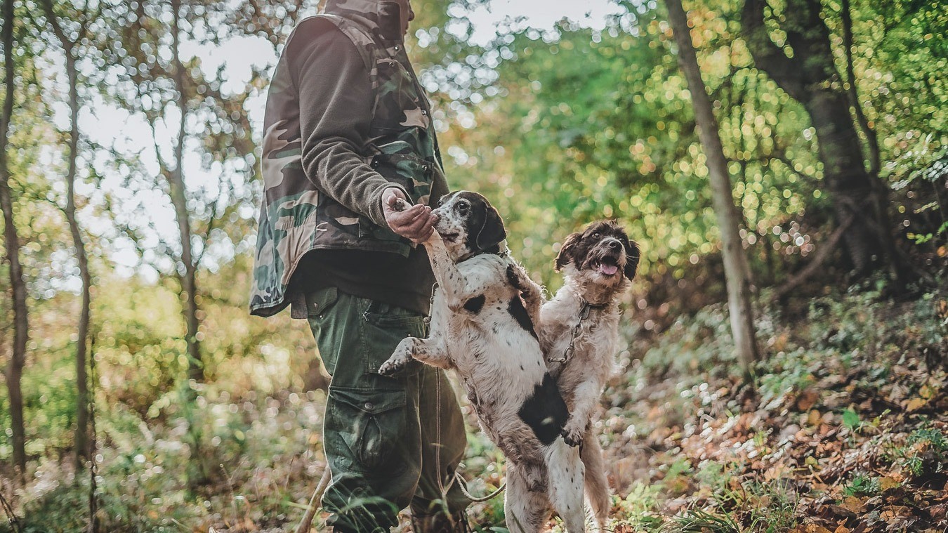 white-truffle-hunt-cooking-class-in-zagori-logo