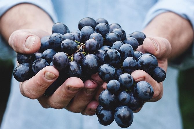 wine-tasting-44-logo