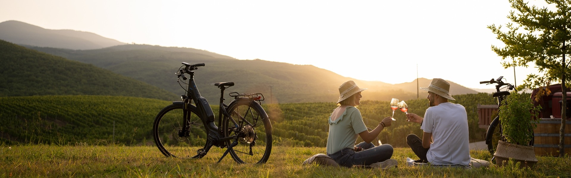 wine-tour-in-naoussa-1-1-1-1-1-1-1-1-1-logo