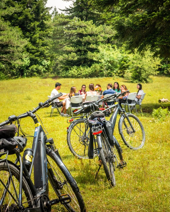 zagori-konitsa-5-days-private-e-bike-tour-logo