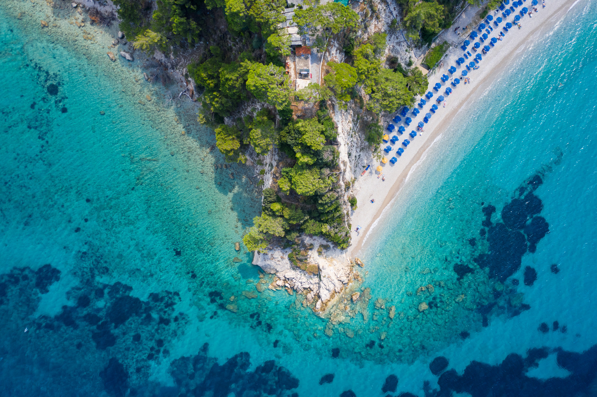 The thick pine groves around Tsamadou beach in Samos give it a tropical feel