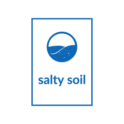 Salty Soil